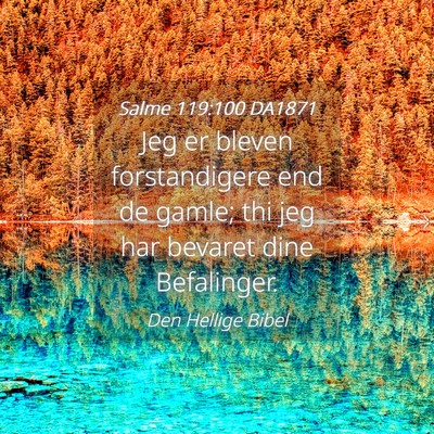 Picture 04 - Salme 119:100 DA1871 - Jeg er bleven forstandigere end de gamle; thi jeg - Bible Verse Picture