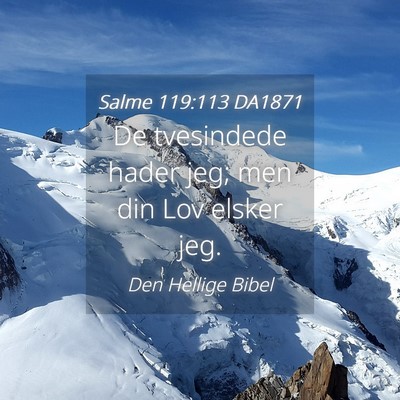 Picture 04 - Salme 119:113 DA1871 - De tvesindede hader jeg; men din Lov elsker - Bible Verse Picture