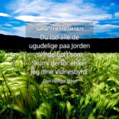 Picture 04 - Salme 119:119 DA1871 - Du lod alle de ugudelige paa Jorden svinde bort - Bible Verse Picture