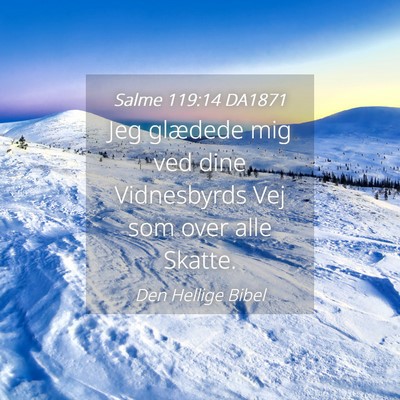 Picture 04 - Salme 119:14 DA1871 - Jeg glædede mig ved dine Vidnesbyrds Vej som - Bible Verse Picture