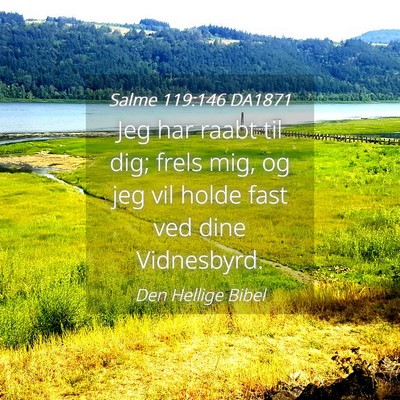 Picture 04 - Salme 119:146 DA1871 - Jeg har raabt til dig; frels mig, og jeg vil - Bible Verse Picture