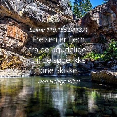 Picture 04 - Salme 119:155 DA1871 - Frelsen er fjern fra de ugudelige; thi de søge - Bible Verse Picture