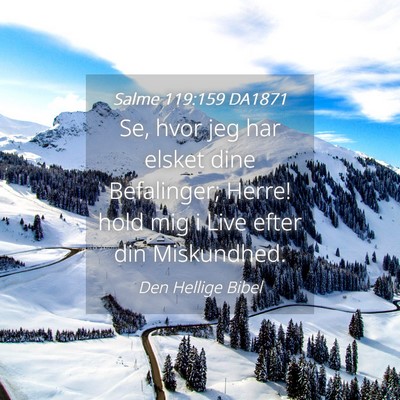 Picture 04 - Salme 119:159 DA1871 - Se, hvor jeg har elsket dine Befalinger; Herre! - Bible Verse Picture