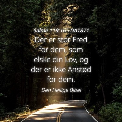 Picture 04 - Salme 119:165 DA1871 - Der er stor Fred for dem, som elske din Lov, og - Bible Verse Picture