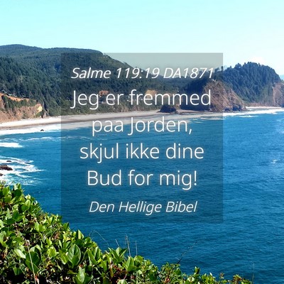 Picture 04 - Salme 119:19 DA1871 - Jeg er fremmed paa Jorden, skjul ikke dine Bud - Bible Verse Picture