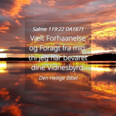 Picture 04 - Salme 119:22 DA1871 - Vælt Forhaanelse og Foragt fra mig; thi jeg har - Bible Verse Picture