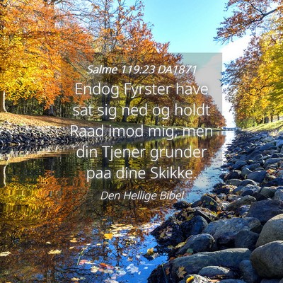 Picture 04 - Salme 119:23 DA1871 - Endog Fyrster have sat sig ned og holdt Raad imod - Bible Verse Picture