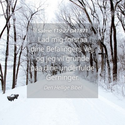 Picture 04 - Salme 119:27 DA1871 - Lad mig forstaa dine Befalingers Vej, og jeg vil - Bible Verse Picture