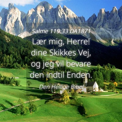 Picture 04 - Salme 119:33 DA1871 - Lær mig, Herre! dine Skikkes Vej, og jeg vil - Bible Verse Picture