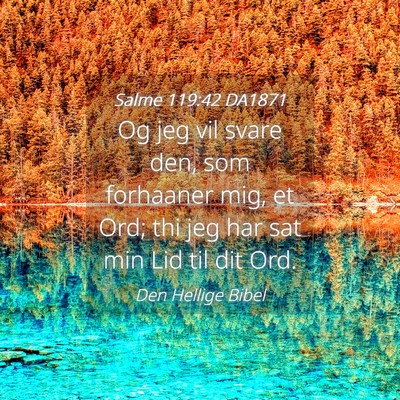 Picture 04 - Salme 119:42 DA1871 - Og jeg vil svare den, som forhaaner mig, et Ord; - Bible Verse Picture