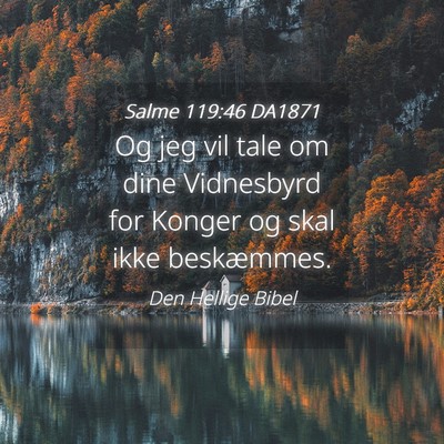 Picture 04 - Salme 119:46 DA1871 - Og jeg vil tale om dine Vidnesbyrd for Konger og - Bible Verse Picture