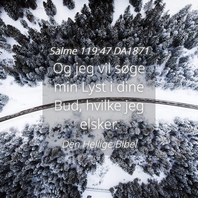 Picture 04 - Salme 119:47 DA1871 - Og jeg vil søge min Lyst i dine Bud, hvilke jeg - Bible Verse Picture