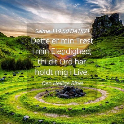 Picture 04 - Salme 119:50 DA1871 - Dette er min Trøst i min Elendighed; thi dit Ord - Bible Verse Picture