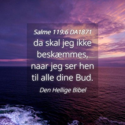 Picture 04 - Salme 119:6 DA1871 - da skal jeg ikke beskæmmes, naar jeg ser hen til - Bible Verse Picture