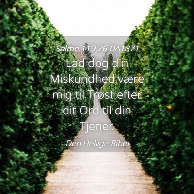 Picture 04 - Salme 119:76 DA1871 - Lad dog din Miskundhed være mig til Trøst efter - Bible Verse Picture