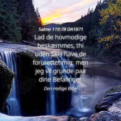 Picture 04 - Salme 119:78 DA1871 - Lad de hovmodige beskæmmes, thi uden Skel have - Bible Verse Picture