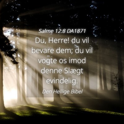 Picture 04 - Salme 12:8 DA1871 - Du, Herre! du vil bevare dem; du vil vogte os - Bible Verse Picture