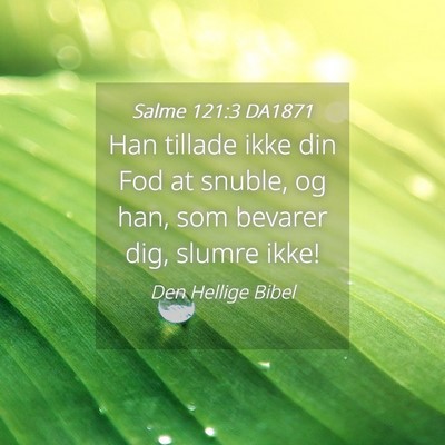 Picture 04 - Salme 121:3 DA1871 - Han tillade ikke din Fod at snuble, og han, som - Bible Verse Picture