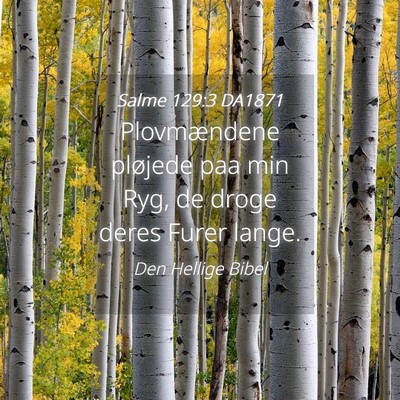 Picture 04 - Salme 129:3 DA1871 - Plovmændene pløjede paa min Ryg, de droge deres - Bible Verse Picture