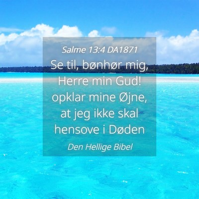 Picture 04 - Salme 13:4 DA1871 - Se til, bønhør mig, Herre min Gud! opklar mine - Bible Verse Picture