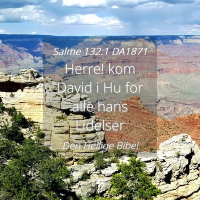 Picture 04 - Salme 132:1 DA1871 - Herre! kom David i Hu for alle hans - Bible Verse Picture