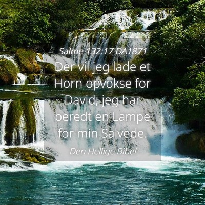 Picture 04 - Salme 132:17 DA1871 - Der vil jeg lade et Horn opvokse for David; jeg - Bible Verse Picture
