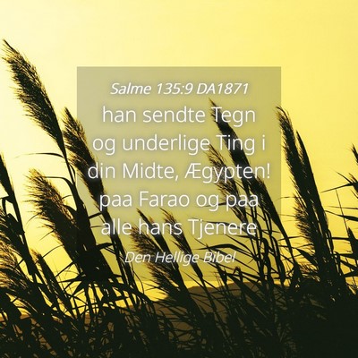 Picture 04 - Salme 135:9 DA1871 - han sendte Tegn og underlige Ting i din Midte, - Bible Verse Picture