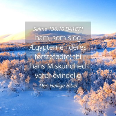 Picture 04 - Salme 136:10 DA1871 - ham, som slog Ægypterne i deres førstefødte; - Bible Verse Picture
