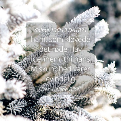 Picture 04 - Salme 136:13 DA1871 - ham, som kløvede det røde Hav igennem; thi hans - Bible Verse Picture