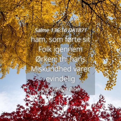 Picture 04 - Salme 136:16 DA1871 - ham, som førte sit Folk igennem Ørken; thi hans - Bible Verse Picture
