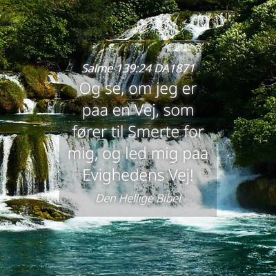 Picture 04 - Salme 139:24 DA1871 - Og se, om jeg er paa en Vej, som fører til - Bible Verse Picture