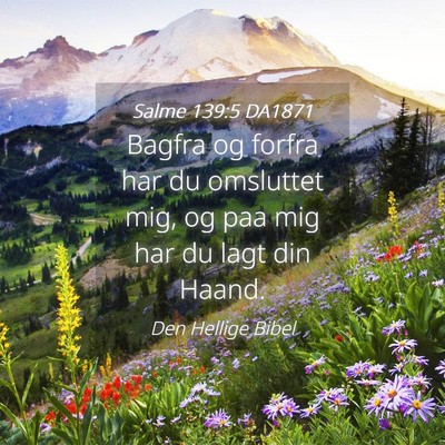 Picture 04 - Salme 139:5 DA1871 - Bagfra og forfra har du omsluttet mig, og paa mig - Bible Verse Picture