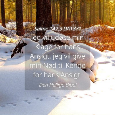 Picture 04 - Salme 142:3 DA1871 - Jeg vil udøse min Klage for hans Ansigt, jeg vil - Bible Verse Picture