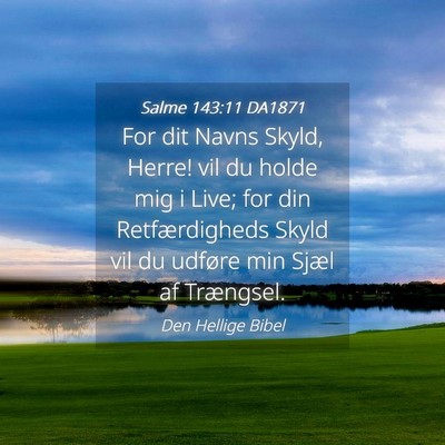 Picture 04 - Salme 143:11 DA1871 - For dit Navns Skyld, Herre! vil du holde mig i - Bible Verse Picture