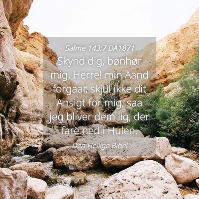 Picture 04 - Salme 143:7 DA1871 - Skynd dig, bønhør mig, Herre! min Aand forgaar, - Bible Verse Picture