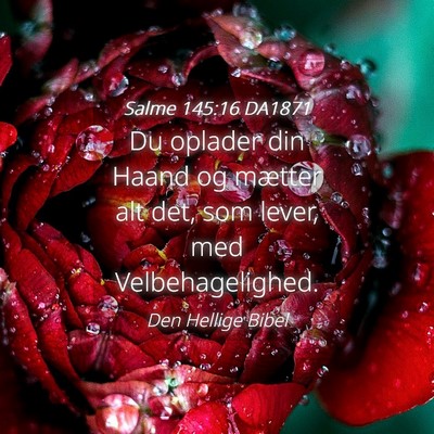Picture 04 - Salme 145:16 DA1871 - Du oplader din Haand og mætter alt det, som - Bible Verse Picture