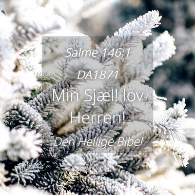 Picture 04 - Salme 146:1 DA1871 - Min Sjæl! lov - Bible Verse Picture