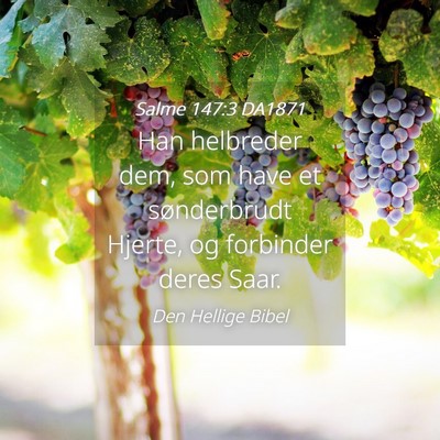 Picture 04 - Salme 147:3 DA1871 - Han helbreder dem, som have et sønderbrudt - Bible Verse Picture
