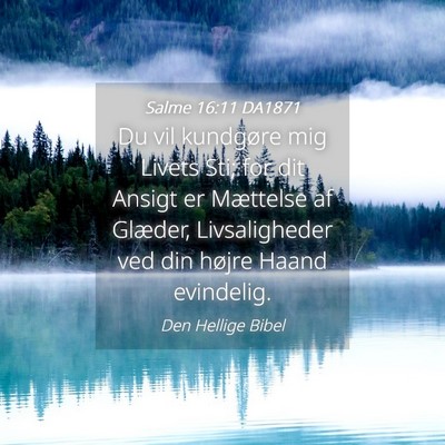 Picture 04 - Salme 16:11 DA1871 - Du vil kundgøre mig Livets Sti; for dit Ansigt - Bible Verse Picture