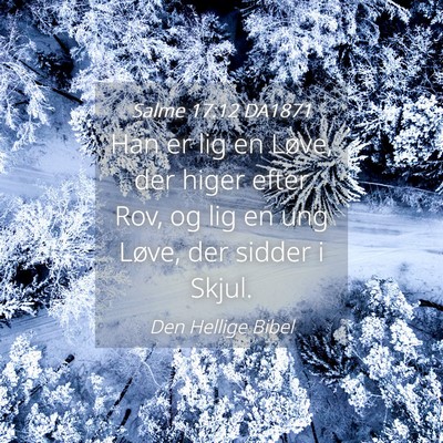 Picture 04 - Salme 17:12 DA1871 - Han er lig en Løve, der higer efter Rov, og lig - Bible Verse Picture