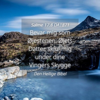 Picture 04 - Salme 17:8 DA1871 - Bevar mig som Øjestenen, Øjets Datter, skjul - Bible Verse Picture