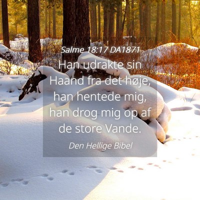 Picture 04 - Salme 18:17 DA1871 - Han udrakte sin Haand fra det høje, han hentede - Bible Verse Picture