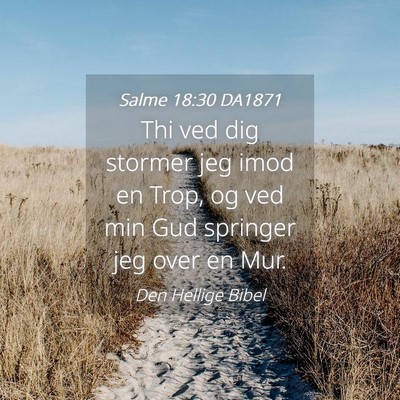 Picture 04 - Salme 18:30 DA1871 - Thi ved dig stormer jeg imod en Trop, og ved min - Bible Verse Picture