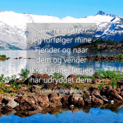 Picture 04 - Salme 18:38 DA1871 - Jeg forfølger mine Fjender og naar dem og vender - Bible Verse Picture