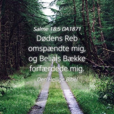 Picture 04 - Salme 18:5 DA1871 - Dødens Reb omspændte mig, og Belials Bække - Bible Verse Picture