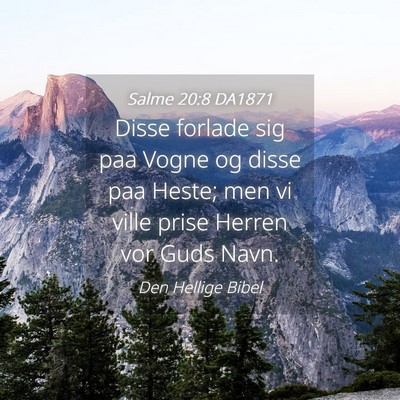 Picture 04 - Salme 20:8 DA1871 - Disse forlade sig paa Vogne og disse paa Heste; - Bible Verse Picture