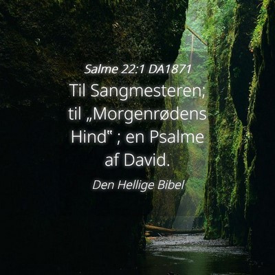 Picture 04 - Salme 22:1 DA1871 - Til Sangmesteren; til „Morgenrødens Hind‟ ; - Bible Verse Picture