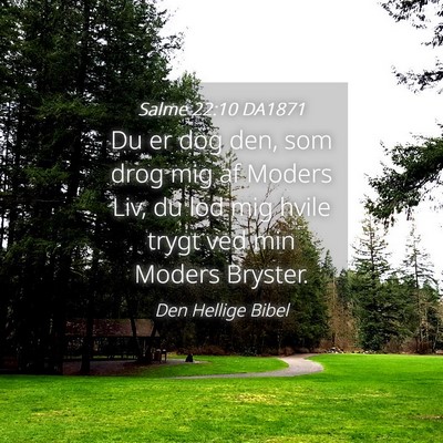 Picture 04 - Salme 22:10 DA1871 - Du er dog den, som drog mig af Moders Liv, du lod - Bible Verse Picture
