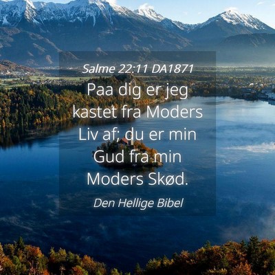 Picture 04 - Salme 22:11 DA1871 - Paa dig er jeg kastet fra Moders Liv af; du er - Bible Verse Picture
