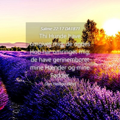 Picture 04 - Salme 22:17 DA1871 - Thi Hunde have omgivet mig; de ondes Hob har - Bible Verse Picture